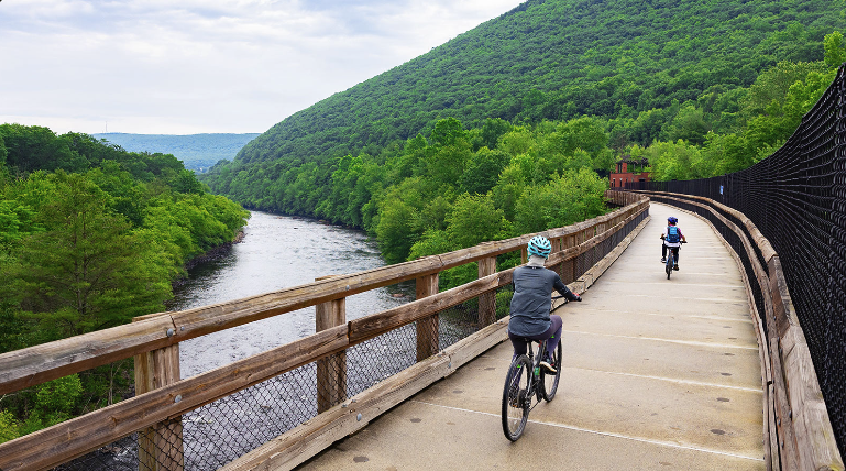 Lehigh Gorge forest trail