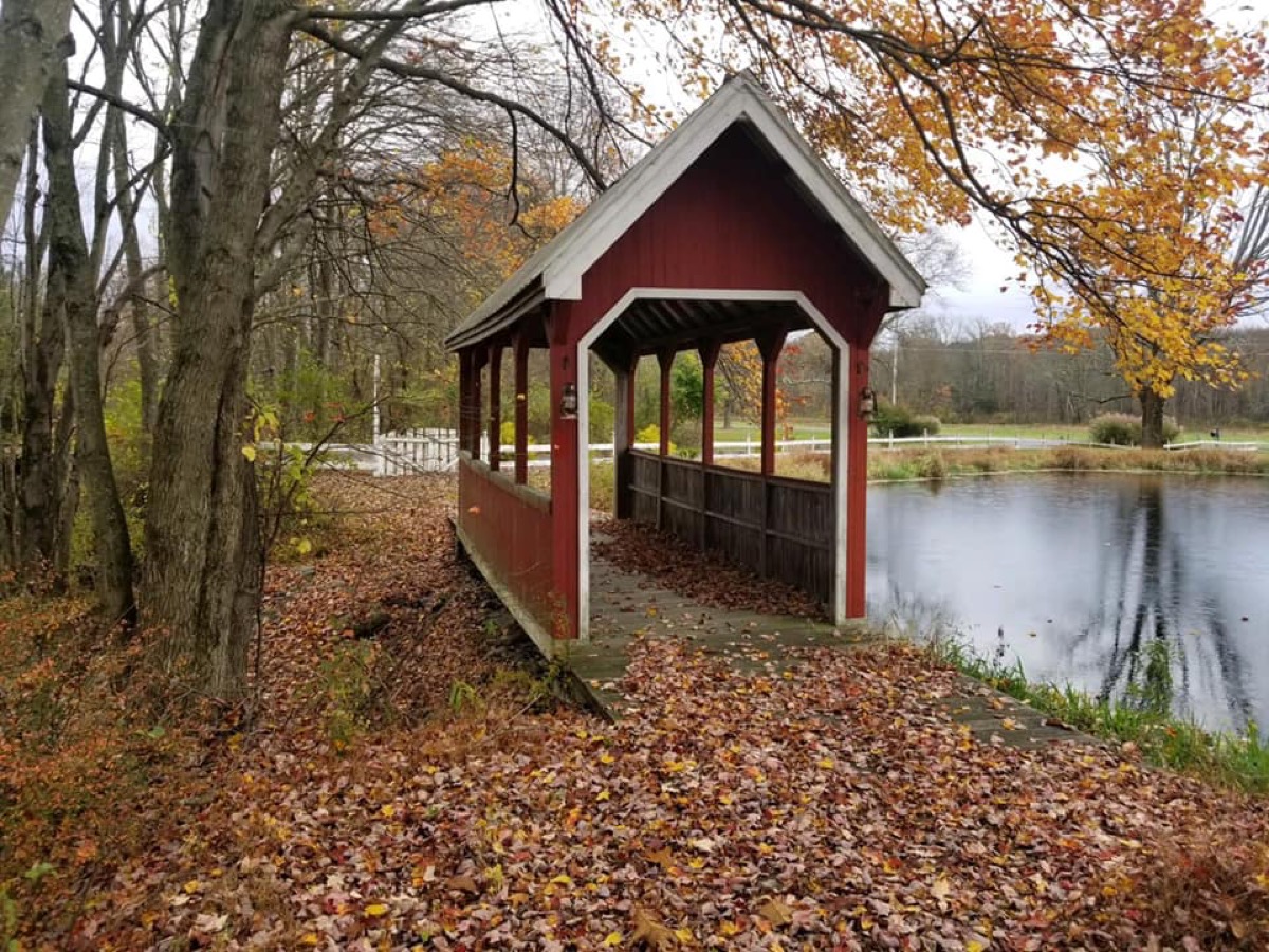 Walking trail through the woods